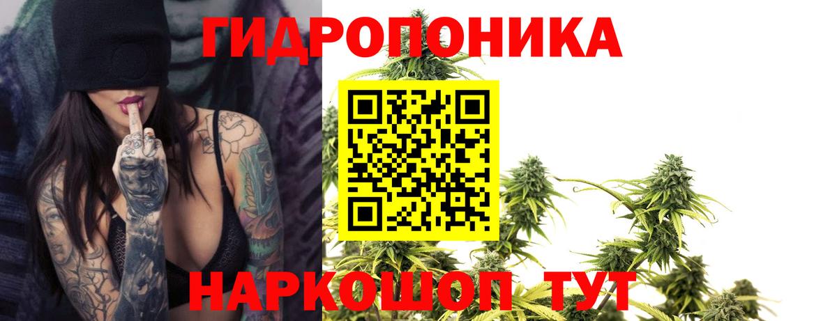 МАРИХУАНА конопля Санкт-Петербург